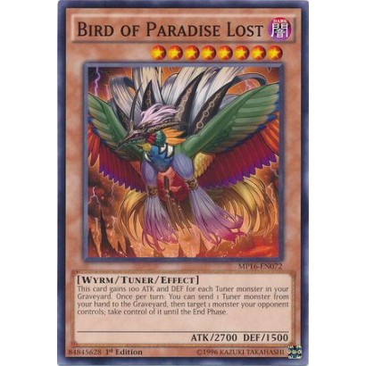 BIRD OF PARADISE LOST -...