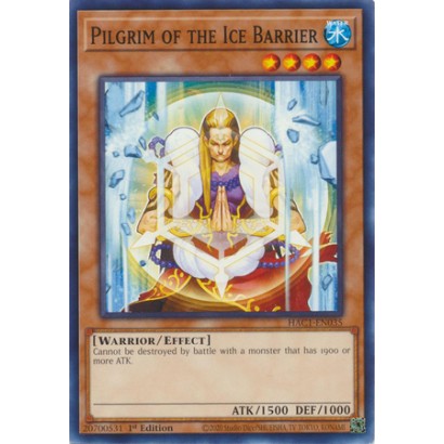 PILGRIM OF THE ICE BARRIER...