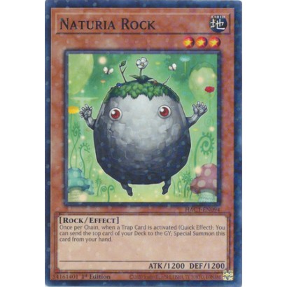 NATURIA ROCK - HAC1-EN094 -...