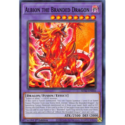 ALBION THE BRANDED DRAGON -...
