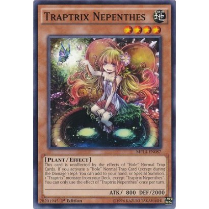 TRAPTRIX NEPENTHES -...