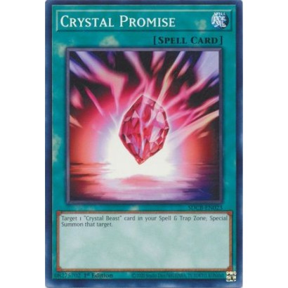 CRYSTAL PROMISE -...
