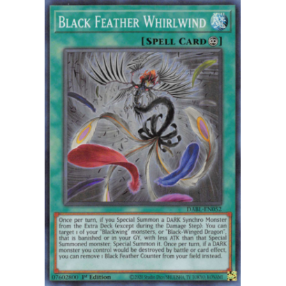 BLACK FEATHER WHIRLWIND -...