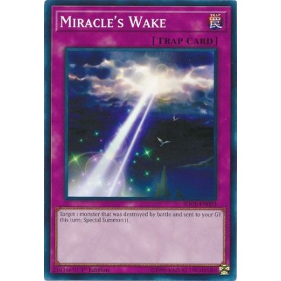 MIRACLE'S WAKE - SDCL-EN033...