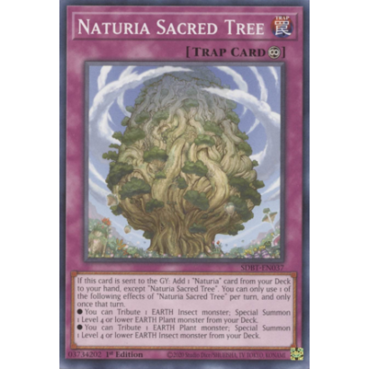 NATURIA SACRED TREE -...