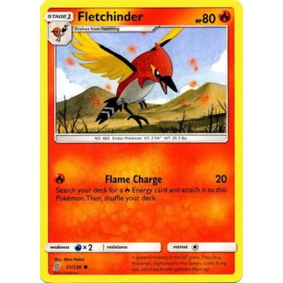 FLETCHINDER - 31/236 - COMMON