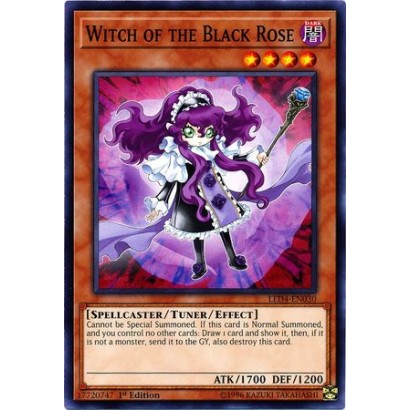 WITCH OF THE BLACK ROSE -...
