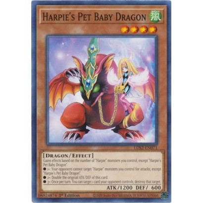 HARPIE'S PET BABY DRAGON -...