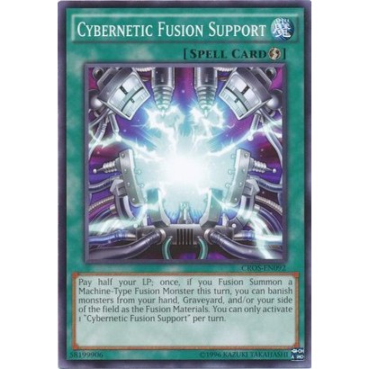 CYBERNETIC FUSION SUPPORT -...