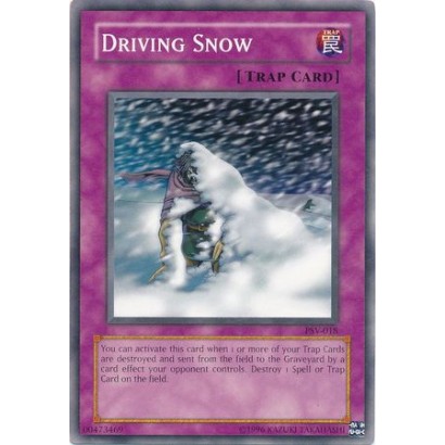 DRIVING SNOW - PSV-018 -...