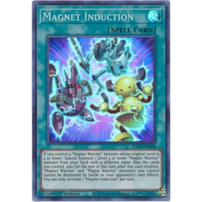 MAGNET INDUCTION -...