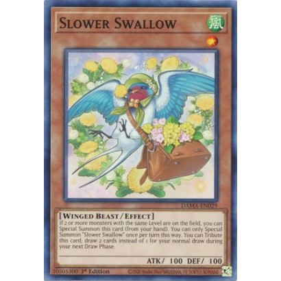 SLOWER SWALLOW - DAMA-EN029...