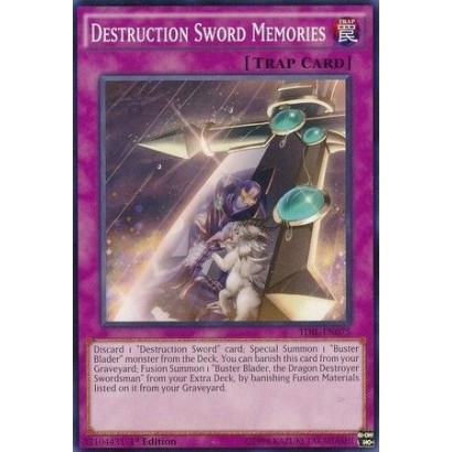 DESTRUCTION SWORD MEMORIES...